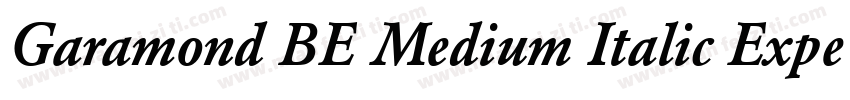 Garamond BE Medium Italic Expert字体转换